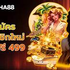 ทางเข้า alpha88